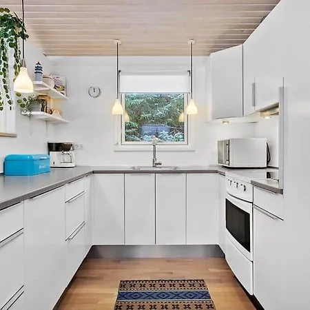 Bl1154-blokhus-kornblomstvej-22 Ferienhaus